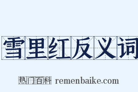 雪里红反义词是什么意思的图片